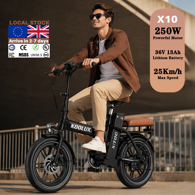Vélo Électrique Pliant X10 Eur - Mountain Biking Europe avis et prix